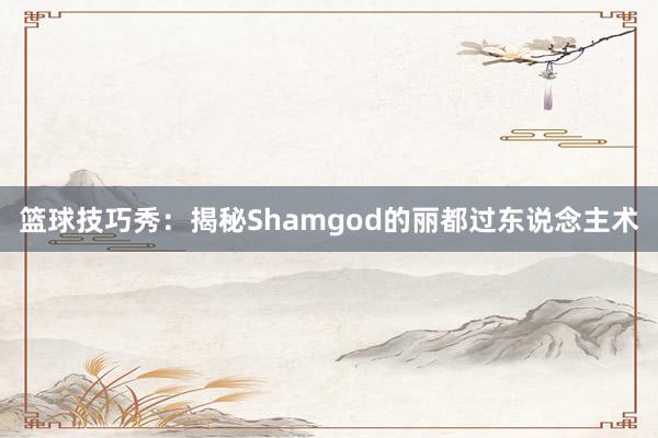 篮球技巧秀：揭秘Shamgod的丽都过东说念主术